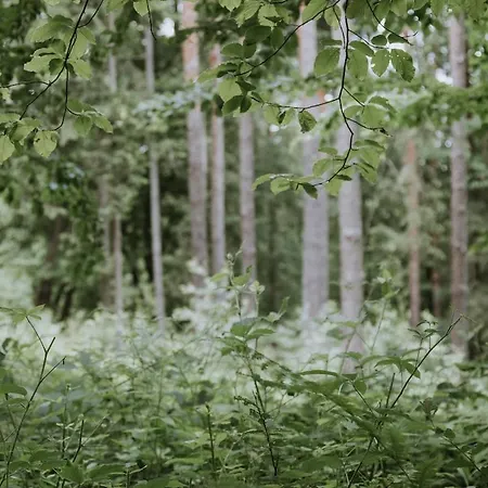 Private Eco In Nature Nyaraló *