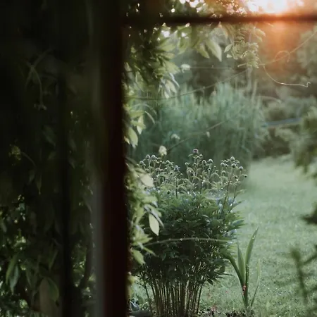 Vakantiehuis Private Eco In Nature Sulinci