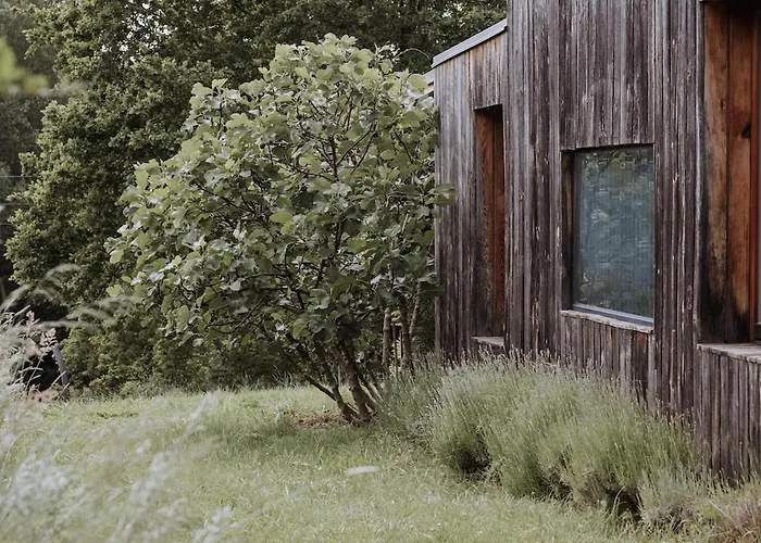 Private Eco In Nature * Sulinci