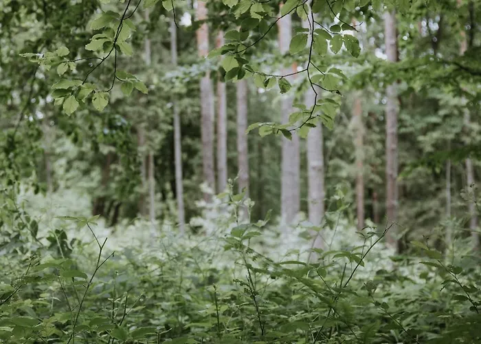 Private Eco In Nature 別荘 *